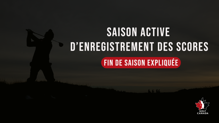 temp alt from theme related posts