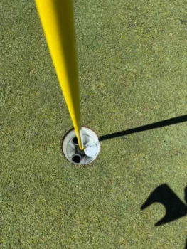 temp alt for theme iandt