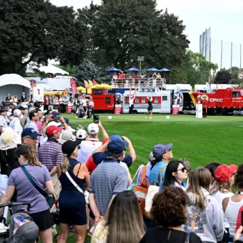 temp alt for theme iandt