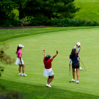 temp alt for theme iandt