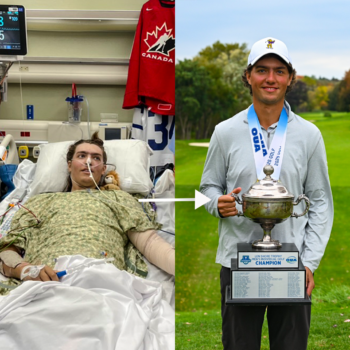 temp alt for theme iandt