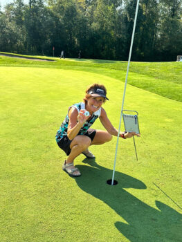 temp alt for theme iandt