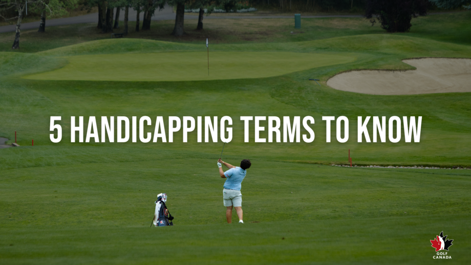 temp alt from theme latest posts