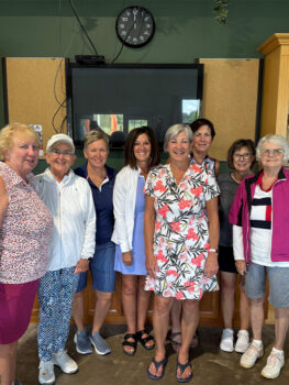 temp alt for theme iandt