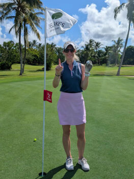 temp alt for theme iandt