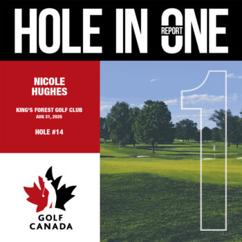 temp alt for theme iandt