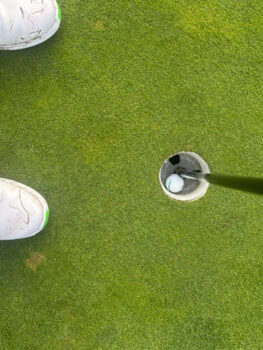 temp alt for theme iandt