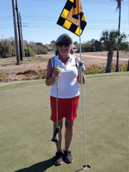 temp alt for theme iandt