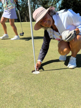 temp alt for theme iandt