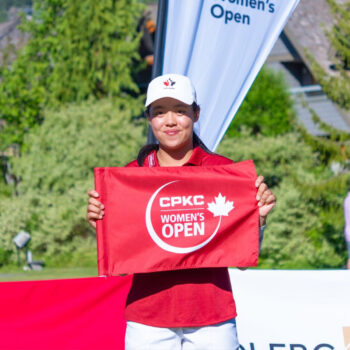 temp alt for theme iandt