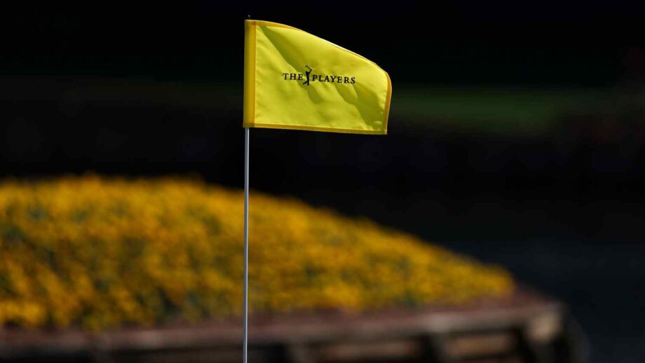 temp alt from theme latest posts