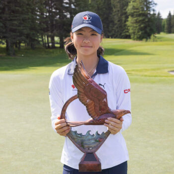 temp alt for theme iandt