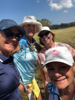 temp alt for theme iandt