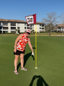 temp alt for theme iandt