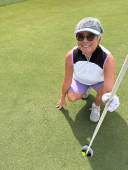 temp alt for theme iandt