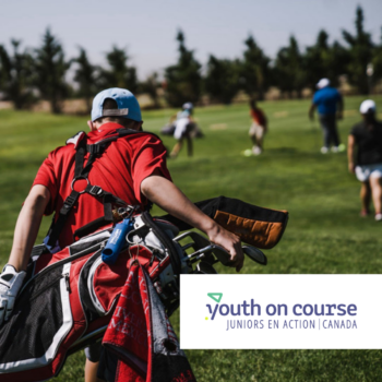 temp alt for theme iandt